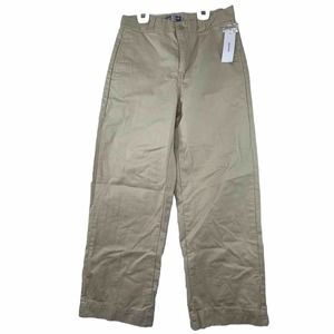 NWT Urban Outfitters Sable/Sand Chinos Relaxed Fit 29x30